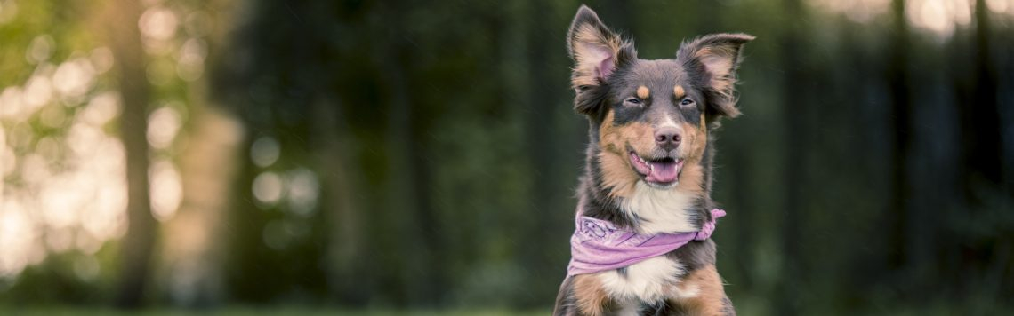 Kurse & Veranstaltungen