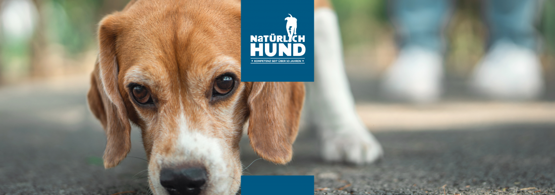 Auf der Spur (Geruchsfährten)