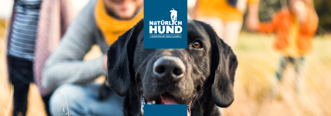 Die Jungen Wilden (Mini-Themengruppe)