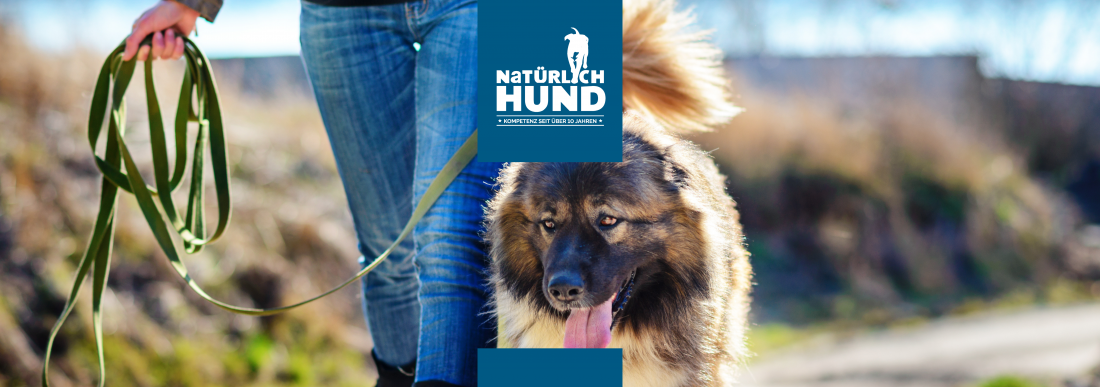 Morgenstund - Beute(l) im Mund (Themengruppe)