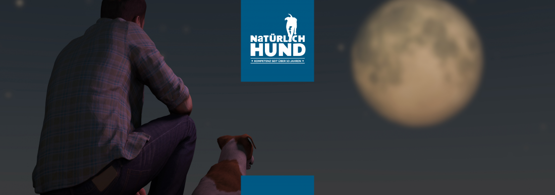 Auf der Spur bei Vollmond (Geruchsfährten)