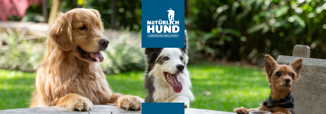 Natürlich-Hund Stammtisch